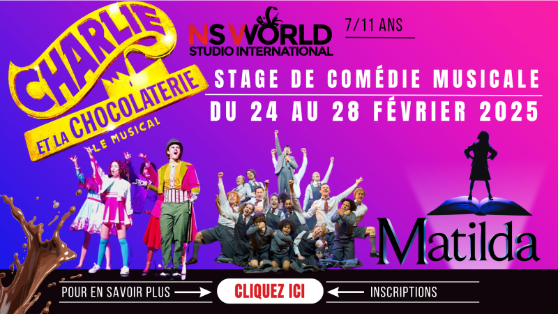 STAGE DE COMÉDIE MUSICALE CHANT DANSE THÉÂTRE SUR PARIS 