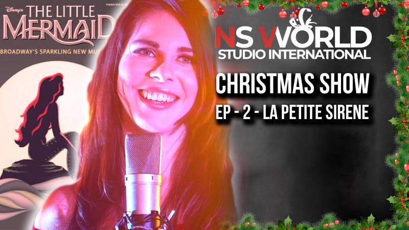 show de noel professionnel casting