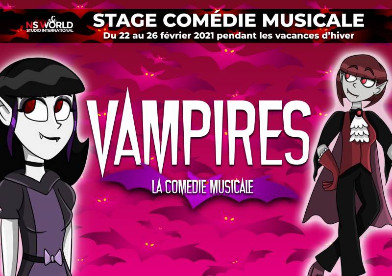 stage comédie musicale 8 14 ans paris