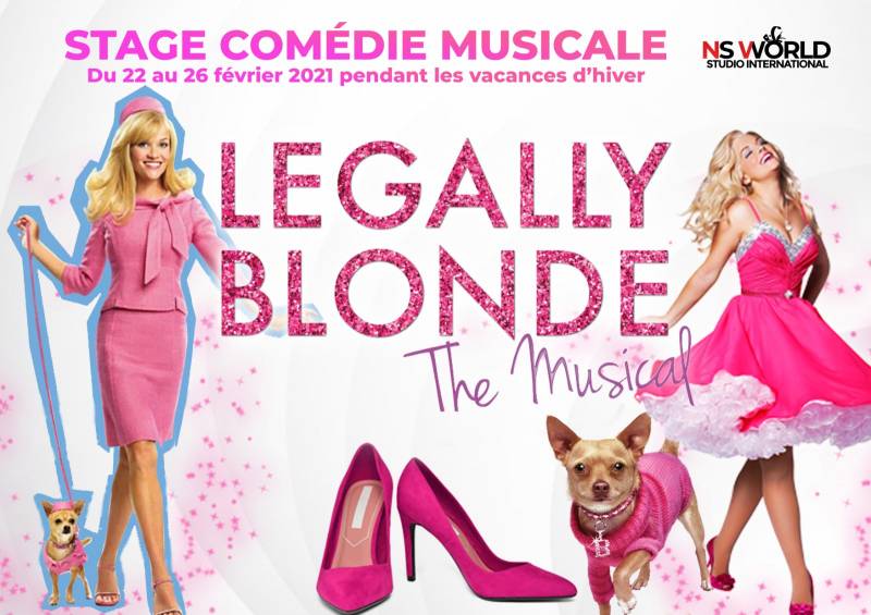 comédie musicale ados stage paris