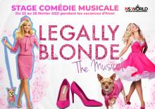 Notre zone d'activité pour ce service Formation professionnelles de comédie musicale pour reconversion professionnelle